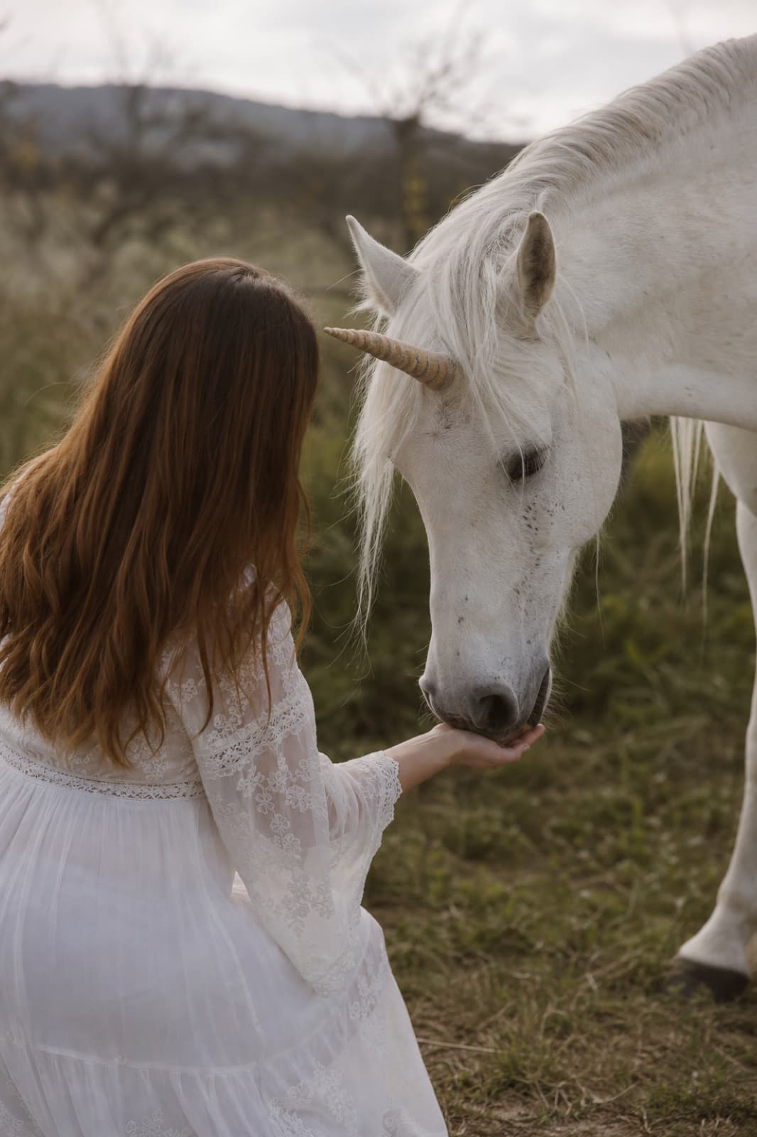 De Bijna-Unicorn — Your Unicorn Way